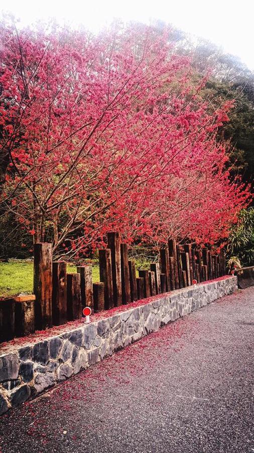 Taroko Formosa Homestay Xiulin Exteriör bild